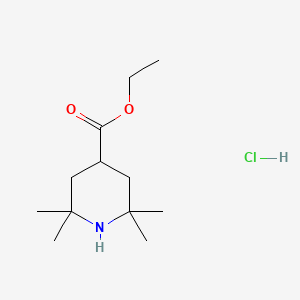 molecular formula C12H24ClNO2 B587779 2,2,6,6-四甲基哌啶-4-羧酸乙酯；盐酸盐 CAS No. 54996-05-3