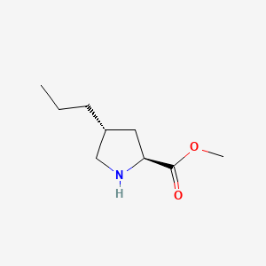molecular formula C9H17NO2 B587791 反式-4-丙基吡咯烷-2-甲酸甲酯 CAS No. 1356354-47-6