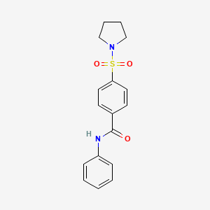 molecular formula C17H18N2O3S B5879500 N-phenyl-4-(pyrrolidin-1-ylsulfonyl)benzamide 