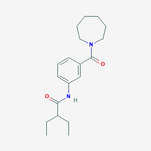 molecular formula C19H28N2O2 B5879565 N-[3-(1-azepanylcarbonyl)phenyl]-2-ethylbutanamide 