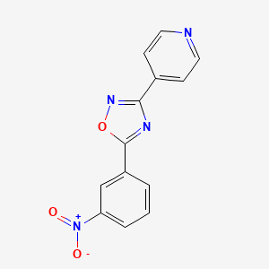 molecular formula C13H8N4O3 B5879647 4-[5-(3-nitrophenyl)-1,2,4-oxadiazol-3-yl]pyridine 