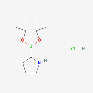 molecular formula C10H21BClNO2 B588163 H-Boroproline Pinacol Hydrochloride CAS No. 123948-28-7
