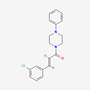 molecular formula C19H19ClN2O B5881701 1-[3-(3-chlorophenyl)acryloyl]-4-phenylpiperazine 