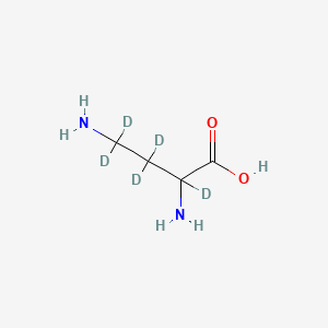 molecular formula C4H10N2O2 B588277 rac-2,4-Diaminobutyric Acid-d5 Dihydrochloride CAS No. 1794713-67-9