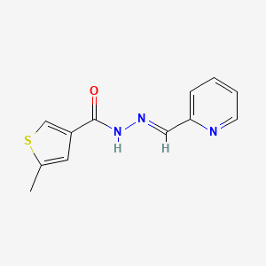 molecular formula C12H11N3OS B5883169 5-methyl-N'-(2-pyridinylmethylene)-3-thiophenecarbohydrazide 
