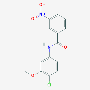 molecular formula C14H11ClN2O4 B5883759 N-(4-chloro-3-methoxyphenyl)-3-nitrobenzamide 