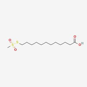 molecular formula C13H26O4S2 B588395 11-Carboxyundecyl Methanethiosulfonate CAS No. 1246819-91-9