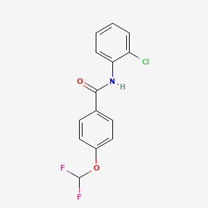 molecular formula C14H10ClF2NO2 B5885308 N-(2-chlorophenyl)-4-(difluoromethoxy)benzamide 
