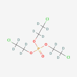 molecular formula C6H12Cl3O4P B588551 Tris(2-chloroethyl)phosphate-d12 CAS No. 1276500-47-0