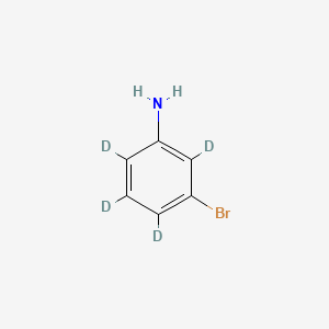 molecular formula C6H6BrN B588567 3-溴苯胺-d4 CAS No. 81395-17-7