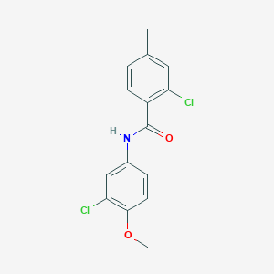 molecular formula C15H13Cl2NO2 B5886048 2-chloro-N-(3-chloro-4-methoxyphenyl)-4-methylbenzamide 