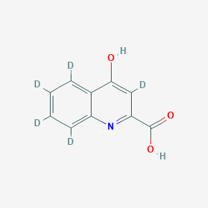 molecular formula C10H7NO3 B588624 Kynurenic Acid-d5 CAS No. 350820-13-2