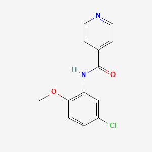 molecular formula C13H11ClN2O2 B5886952 N-(5-chloro-2-methoxyphenyl)isonicotinamide CAS No. 6108-43-6