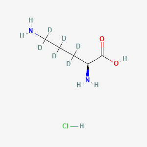 molecular formula C5H13ClN2O2 B588754 L-Ornithine-d6 Hydrochloride CAS No. 347841-40-1