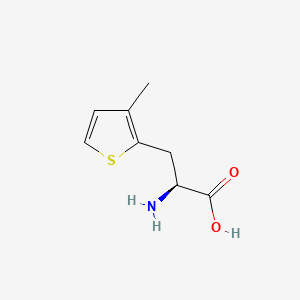 molecular formula C8H11NO2S B588826 (2S)-2-amino-3-(3-methylthiophen-2-yl)propanoic acid CAS No. 154593-59-6