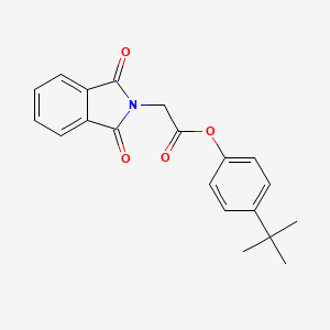 molecular formula C20H19NO4 B5889147 4-tert-butylphenyl (1,3-dioxo-1,3-dihydro-2H-isoindol-2-yl)acetate 