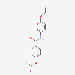 molecular formula C16H15F2NO3 B5889213 4-(difluoromethoxy)-N-(4-ethoxyphenyl)benzamide 