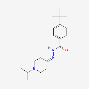 molecular formula C19H29N3O B5889665 4-tert-butyl-N'-(1-isopropyl-4-piperidinylidene)benzohydrazide 