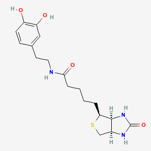 molecular formula C18H25N3O4S B589029 N-Biotinyl Dopamine CAS No. 241142-94-9