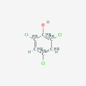 molecular formula C6H3Cl3O B589061 2,4,6-三氯苯酚 13C6 CAS No. 208461-28-3