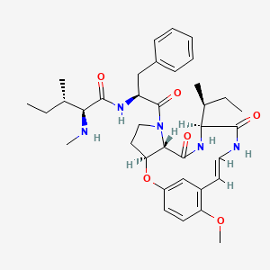 molecular formula C36H49N5O6 B589063 Paliurine B CAS No. 149183-88-0