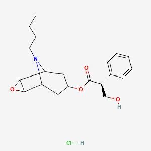 N-Butyl Nor Scopolamine Hydrochloride