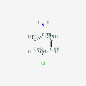 molecular formula C6H6ClN B589192 4-氯苯胺-13C6 CAS No. 89059-39-2