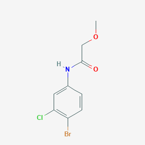 molecular formula C9H9BrClNO2 B5892587 N-(4-bromo-3-chlorophenyl)-2-methoxyacetamide 