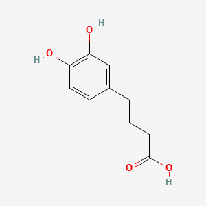 molecular formula C10H12O4 B589332 4-(3,4-二羟基苯基)丁酸 CAS No. 70217-89-9