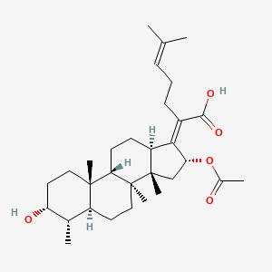 molecular formula C31H48O5 B589370 11-Deoxy Fusidic Acid CAS No. 1013937-16-0