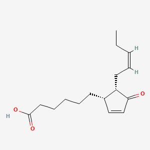 molecular formula C16H24O3 B589387 12-氧代二降菲妥二烯酸 CAS No. 197247-23-7