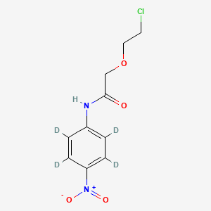 B589502 2-(2-Chloroethoxy)-N-(4-nitrophenyl)acetamide-d4 CAS No. 1329612-84-1