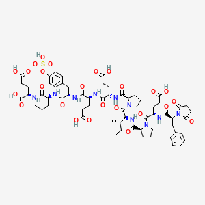 molecular formula C64H86N10O25S B589611 Suc-phe-glu-pro-ile-pro-glu-glu-tyr(SO3H)-leu-D-glu-OH CAS No. 131791-98-5