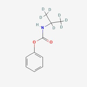 molecular formula C10H13NO2 B589663 苯基 N-(1,1,1,2,3,3,3-七氘代丙烷-2-基)氨基甲酸酯 CAS No. 1329835-22-4