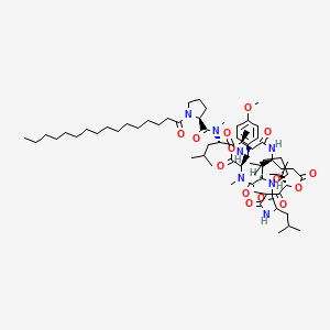 molecular formula C69H113N7O14 B589732 palmitoyl-Pro-N(Me)Leu-aThr(1)-Unk-DL-Leu-Pro-D-N(Me)Tyr(Me)-(1) CAS No. 130406-06-3