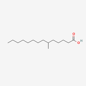 molecular formula C15H30O2 B589772 6-Methyltetradecanoic Acid CAS No. 53696-18-7