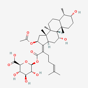 molecular formula C37H56O12 B589987 Fusidic Acid Acyl beta-D-Glucuronide CAS No. 13013-66-6