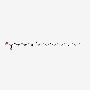 molecular formula C21H34O2 B590005 Henicosa-2,4,6,8-tetraenoic acid CAS No. 134176-34-4