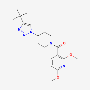 molecular formula C19H27N5O3 B5900239 3-{[4-(4-tert-butyl-1H-1,2,3-triazol-1-yl)piperidin-1-yl]carbonyl}-2,6-dimethoxypyridine 