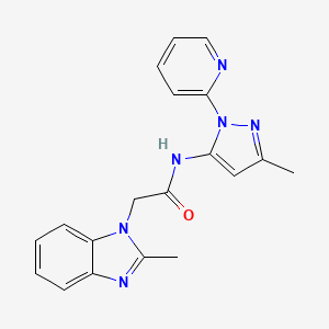 2-(2-methyl-1H-benzimidazol-1-yl)-N-(3-methyl-1-pyridin-2-yl-1H-pyrazol-5-yl)acetamide