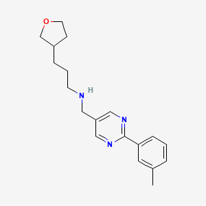 molecular formula C19H25N3O B5902712 N-{[2-(3-methylphenyl)pyrimidin-5-yl]methyl}-3-(tetrahydrofuran-3-yl)propan-1-amine 
