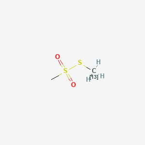 molecular formula C2H6O2S2 B590329 甲基甲硫酸甲酯-13C CAS No. 1309943-60-9