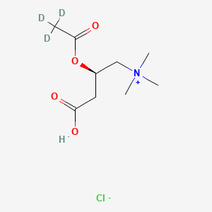 molecular formula C9H18ClNO4 B590593 Acetyl-d3 L-Carnitine Hydrochloride CAS No. 362049-62-5