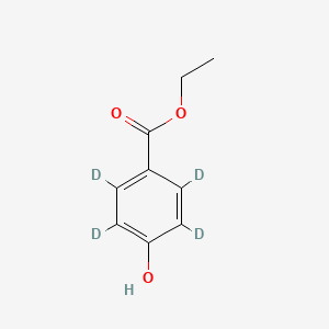 molecular formula C9H10O3 B590599 Ethyl 2,3,5,6-tetradeuterio-4-hydroxybenzoate CAS No. 1219795-53-5