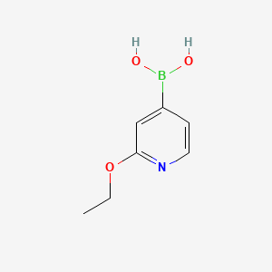 molecular formula C7H10BNO3 B590766 2-乙氧基吡啶-4-硼酸 CAS No. 1072946-58-7