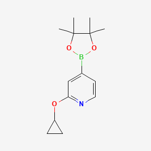 molecular formula C14H20BNO3 B590770 2-Cyclopropoxy-4-(4,4,5,5-tetramethyl-1,3,2-dioxaborolan-2-yl)pyridine CAS No. 1346707-95-6