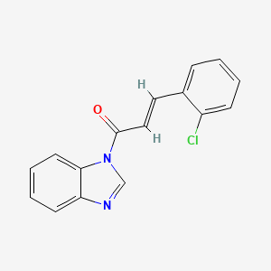 molecular formula C16H11ClN2O B5907736 1-[3-(2-chlorophenyl)acryloyl]-1H-benzimidazole 