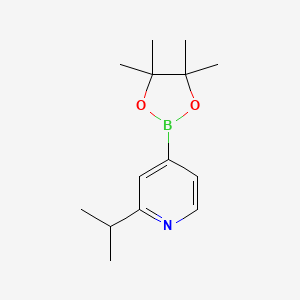 molecular formula C14H22BNO2 B590774 2-isopropyl-4-(4,4,5,5-tetraMethyl-1,3,2-dioxaborolan-2-yl)pyridine CAS No. 1352796-58-7