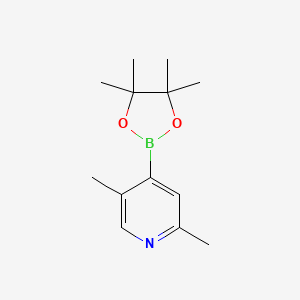 molecular formula C13H20BNO2 B590780 2,5-二甲基-4-(4,4,5,5-四甲基-1,3,2-二氧杂硼烷-2-基)吡啶 CAS No. 1309443-99-9