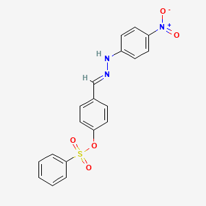 molecular formula C19H15N3O5S B5908004 4-[2-(4-nitrophenyl)carbonohydrazonoyl]phenyl benzenesulfonate 